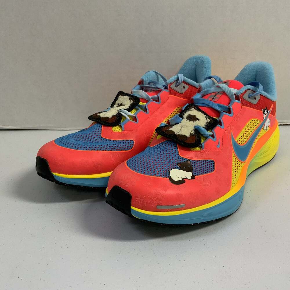 Nike Air Zoom Pegasus 41 Doernbecher 2025 IB6096 920 Size 10.5 Men Running Shoe
